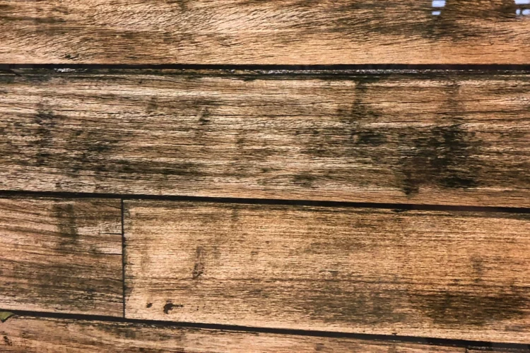 Glas-Küchenrückwand mit Holzoptik
