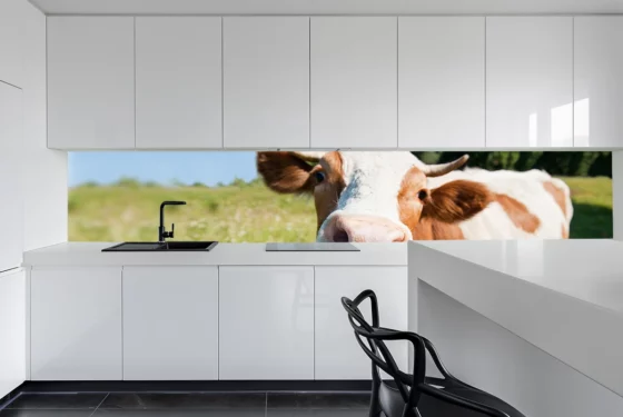 Küchenrückwand aus Glas - Kuh auf grüner Wiese