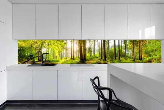 Küchenrückwand aus Glas - grüne Waldlandschaft